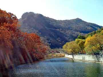 新澳天天开奖资料大全旅游团，被风吹过的夏天小说